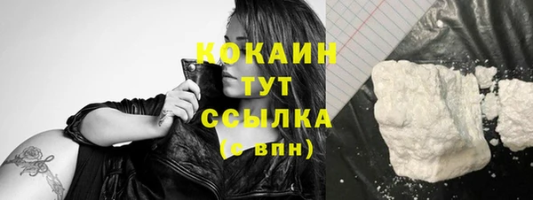 дмт Магас