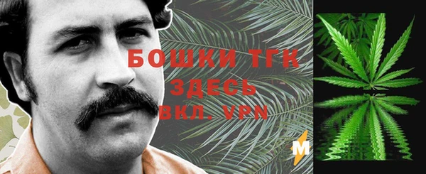 дмт Магас